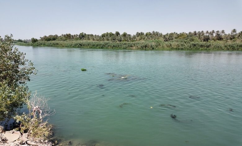 إجراءات جديدة من محافظة النجف لمواجهة تلوث مياه الفرات