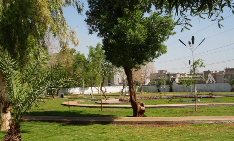 بغداد تزرع 148 ألف شجرة معمرة ضمن خطة لزيادة الرقعة الخضراء