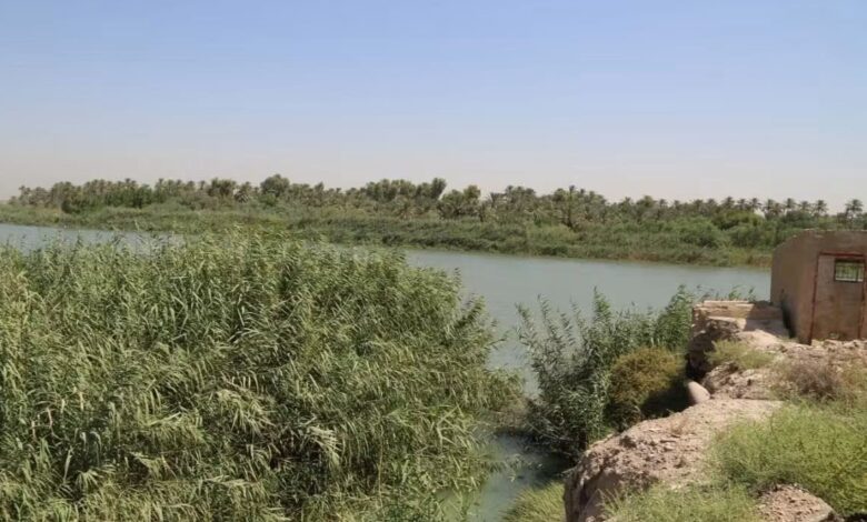تلوث نهر الفرات في النجف يستوجب غرامة 1.8 مليار دينار على مديرية المجاري