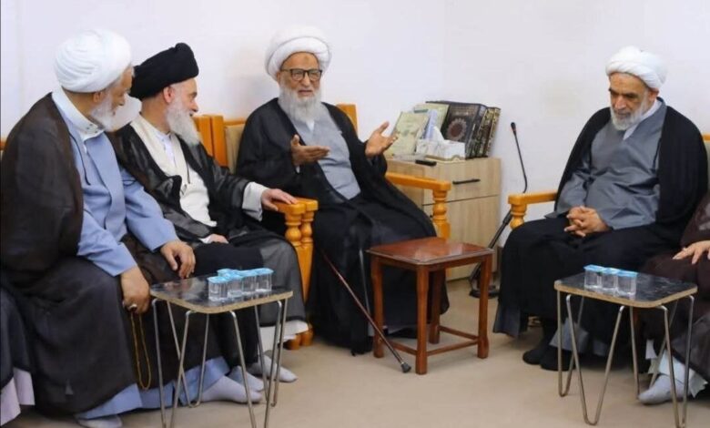 وفد قائد الثورة الإسلامية يلتقي آية الله بشير النجفي في النجف الأشرف
