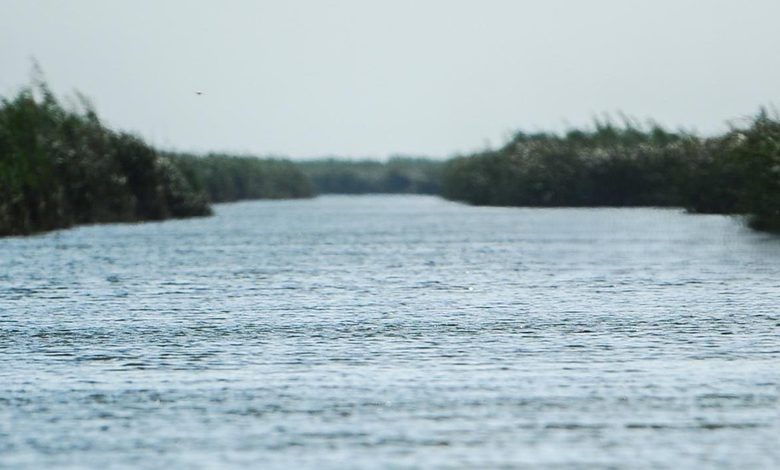 نقلة نوعية في مستويات المياه والخطة الزراعية الشتوية ترتكز على ثلاثة مؤشرات رئيسة